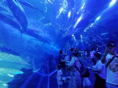 -成都浩海立方海洋公园