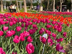 -石家庄市植物园