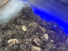 -悦橙烤肉海鲜自助(中央大街店)