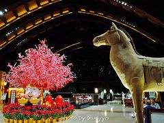 -三亚湾海居铂尔曼度假酒店