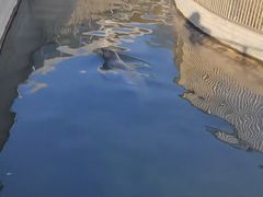 -太原动物园