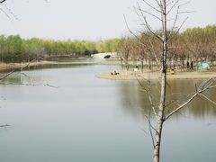 -东郊湿地公园