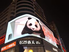 -黄兴南路步行商业街