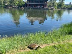 -承德避暑山庄景区