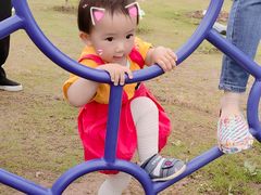 -上海长兴岛郊野公园