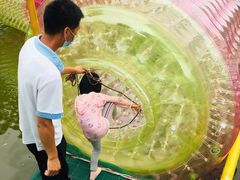 -朝阳公园游乐园