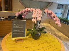 -威斯汀舞台餐厅