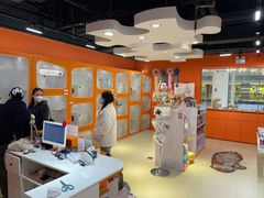 -三花喵·撸猫购宠·宠物生活馆(虹桥南丰城店)