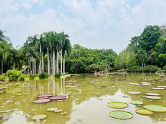 -中国科学院西双版纳热带植物园