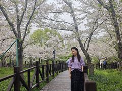 -自然谷恐龙园