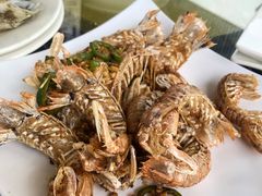 椒盐攋尿虾-波记美食店·现捞海鲜