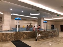 -中家鑫园温泉酒店鑫悦汤泉