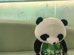-眉州东坡·熊猫主题餐厅(枫蓝店)