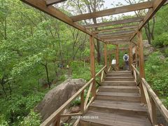 -大岭沟猕猴桃谷风景区