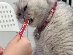 -Oasis绿洲银饰珍珠手作diy(壹方城店)