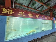 -年辉渔村·非遗传承餐厅(新丰江店)