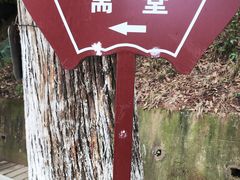 -老君山