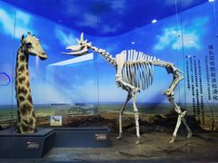 -国家自然博物馆