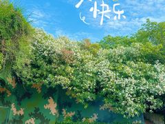 -上海吴淞炮台湾国家湿地公园