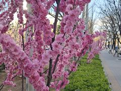 -中关村生命科学园