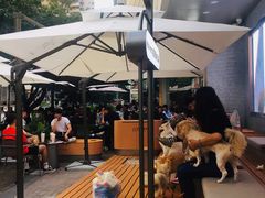 -喜茶(深圳喜荟城店)