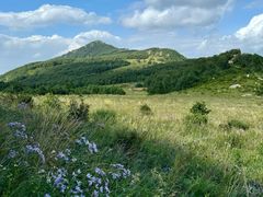-白草畔自然风景区