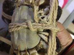 -喜洋洋蟹庄(阳澄湖店)