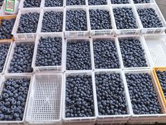 -南坛综合农贸市场