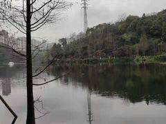 -重庆彩云湖湿地公园