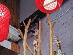 -地二手作鱼汤馄饨(上街里店)