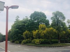 -仙湖旅游度假区