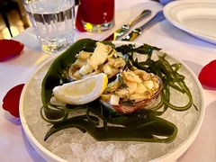 -壳里西餐厅Coquille Seafood Bistro(蒙自路店)