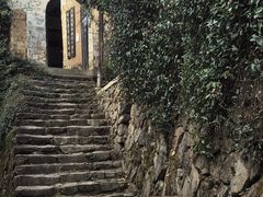 -杨家堂村