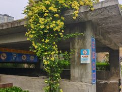 -半坡国际艺术区
