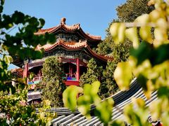 -宫事颐庭·老佛爷贵寿下午茶(颐和园店)