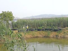 -亮河湾山庄