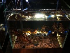 -璞御·海鲜·雪花牛肉局(宾水西道店)
