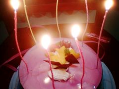 -欧贝拉蛋糕店(东门路店)