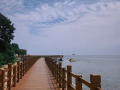 -养马岛旅游度假区