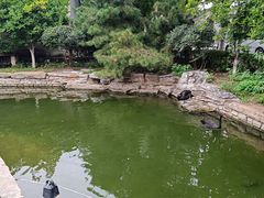 -三里河公园