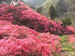 -木兰云雾山
