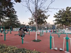 -沙澧河风景区