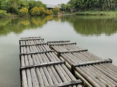 -天下先生态园农庄CS团建露营地(海鸥岛店)