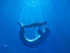 -多彩贵州城极地海洋世界