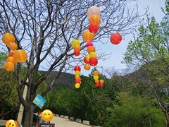 -北京十三陵国家森林公园蟒山景区