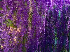 -苏州5D星空错觉艺术馆