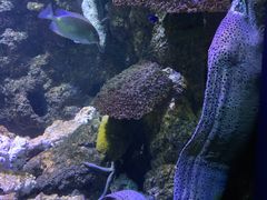 -海合安青岛极地海洋公园