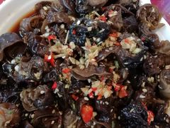 -生态苑农庄(十里画廊遇龙河店)