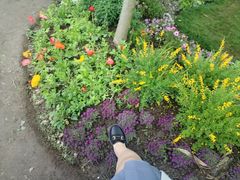 -上海共青森林公园