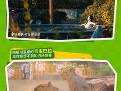-郑州银基国际旅游度假区